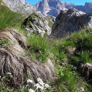 The Dolomites: Heritage of UNESCO