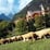 Hotel Du Lac