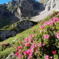 Tour of the Lake of Molveno